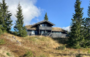 Stunning Home In Sjusjøen With Sauna